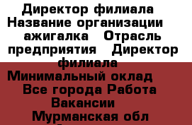 Директор филиала › Название организации ­ Zажигалка › Отрасль предприятия ­ Директор филиала › Минимальный оклад ­ 1 - Все города Работа » Вакансии   . Мурманская обл.,Апатиты г.